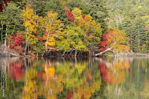 北海道の秋の風景 オンネトーの紅葉 © 英敏 松本