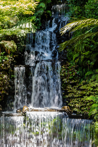 Fototapeta Naklejka Na Ścianę i Meble -  A strole through the Pukekura Park botanical gardens. New Plymouth, Taranaki, New Zealand