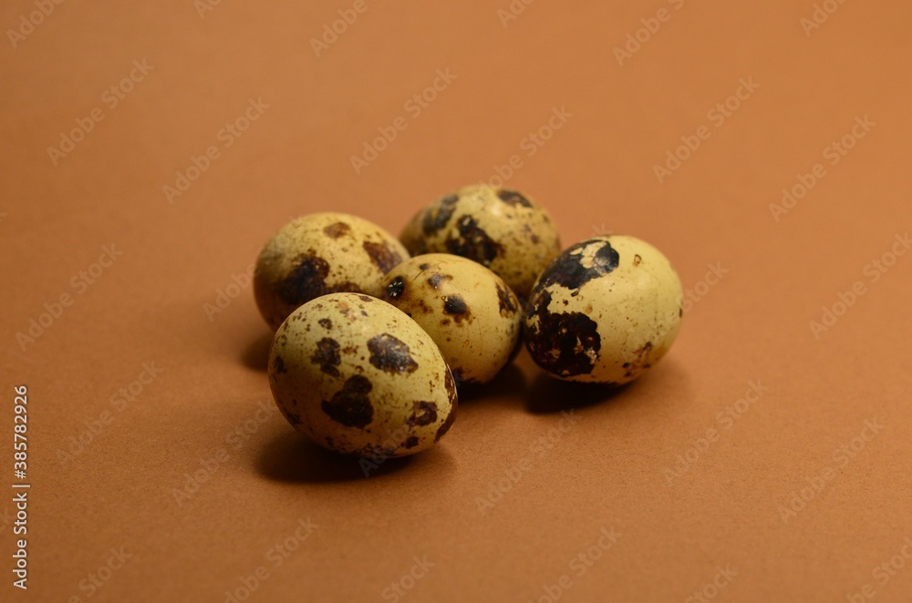 Quail eggs on brown background