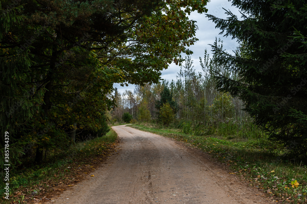 Dirt road next to forest. Pathway. Dirt road next to forest. Pathway.