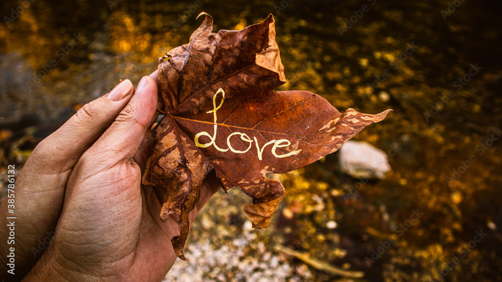 Obraz premium Two hands holding love leaf