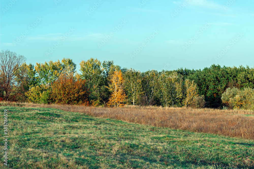 steppe with dry grass on the background of the forest, autumn landscape