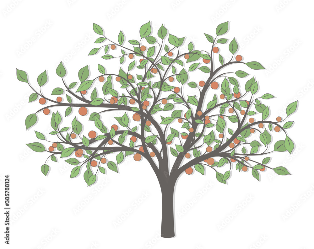 Tree with green leaves and red fruits of different sizes