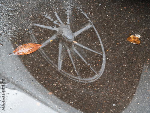 Reflection of the front wheel of a car in a puddle