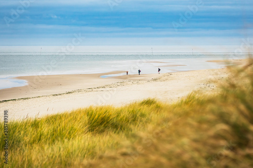 Landschaft mit D  nen auf der Insel Amrum