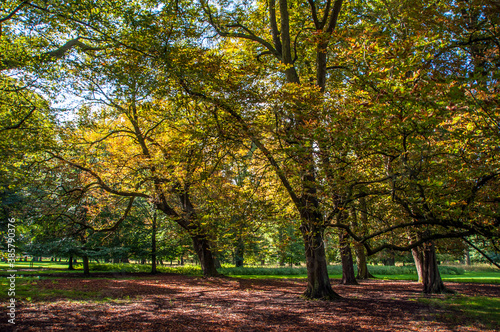 Löns Park-Hannover © Emil Lazar