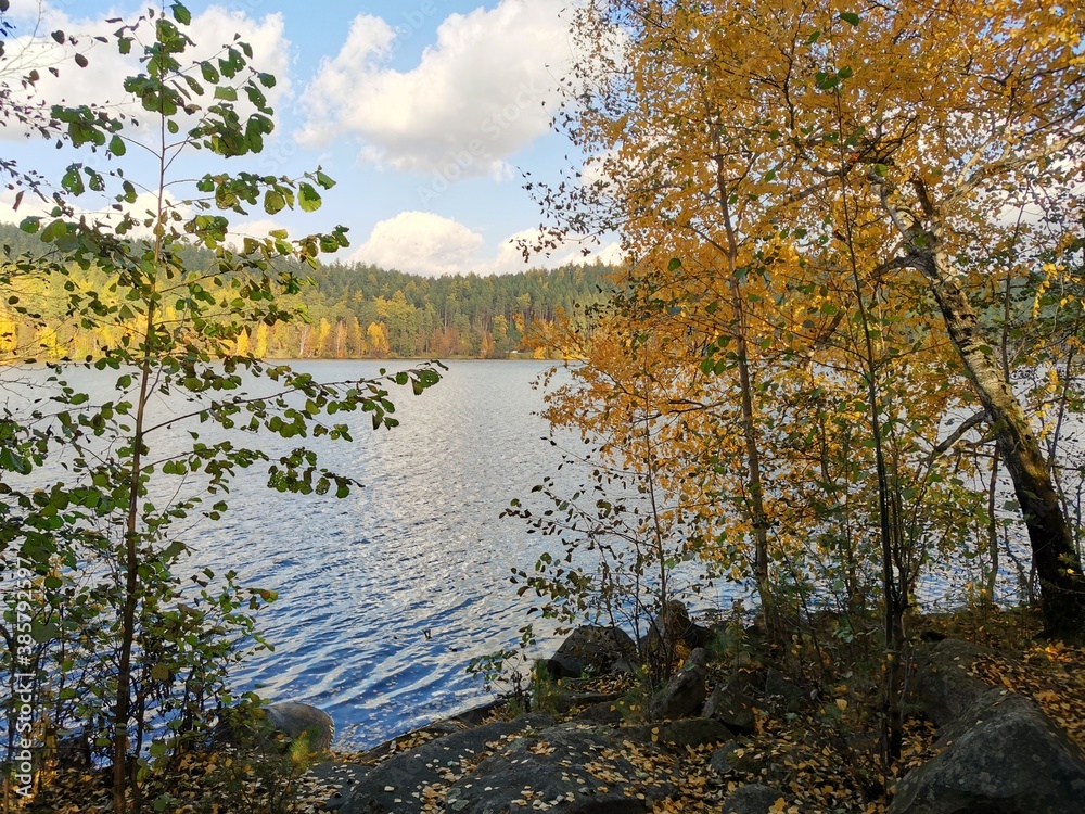 Golden autumn on lake Inyshko Miass Russia