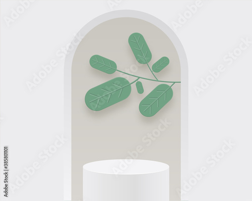 Empty cylinder podium on minimal background. Abstract minimal scene with leaves and geometrical forms. Design for product presentation. 3d vector illustration. 