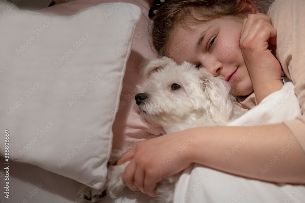 Cute girl holding dog while lying down in bedroom Cute girl holding dog while lying down in bedroom