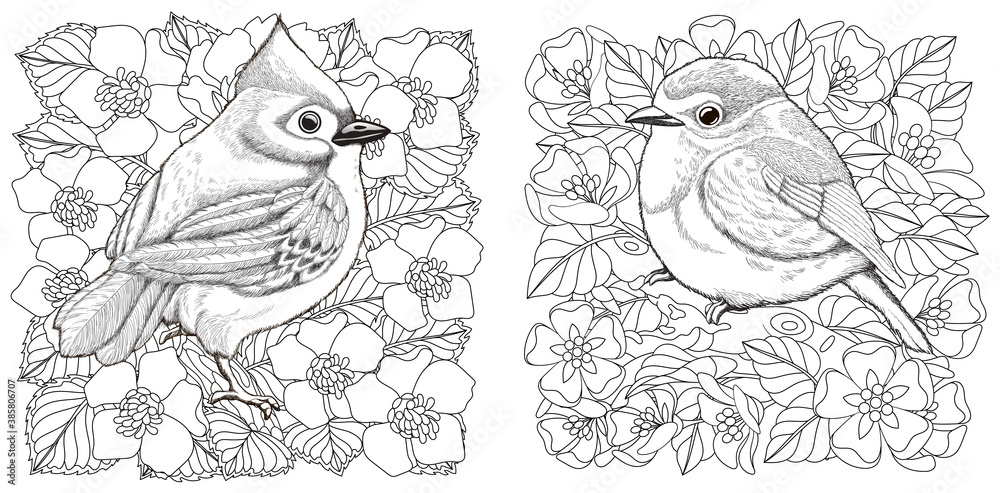 Coloring page. Two birds among flowers. Line art drawing for adult or kids coloring book in zentangle style. Vector illustration. Coloring page. Two birds among flowers. Line art drawing for adult or kids coloring book in zentangle style. Vector illustration.
