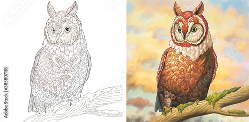 Coloring page. Owl bird painting. Line art drawing for adult or kids coloring book in zentangle style. Vector illustration.