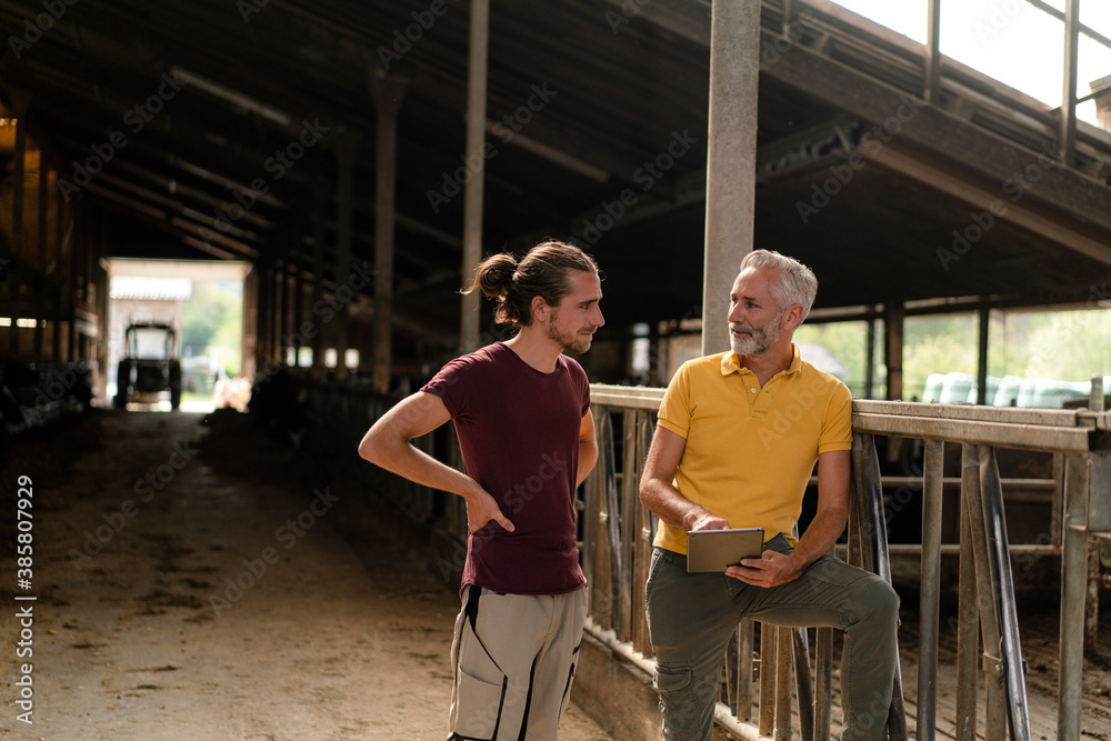Mature farmer with tablet and adult son on a farm Mature farmer with tablet and adult son on a farm
