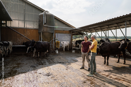 Mature farmer with adult son at cow house on a farm photo