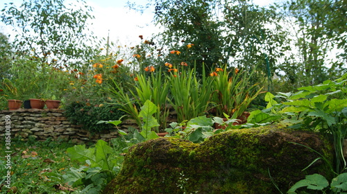 Fototapeta Naklejka Na Ścianę i Meble -  blooming garden