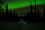 Northern lights over lone hiker standing in middle of forest road at night