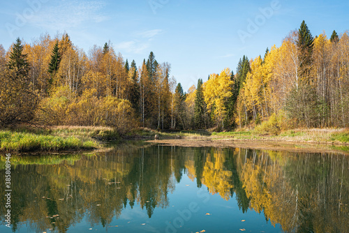 Autumn landscape, picturesque forest with a mirror symmetrical reflection in the river of yellow, Golden foliage. Bright colors of autumn on the trees. © dimmas72
