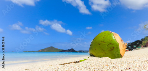 Noix de coco fraîche sur le sable à Antigua, plage de la vallée de l'église.