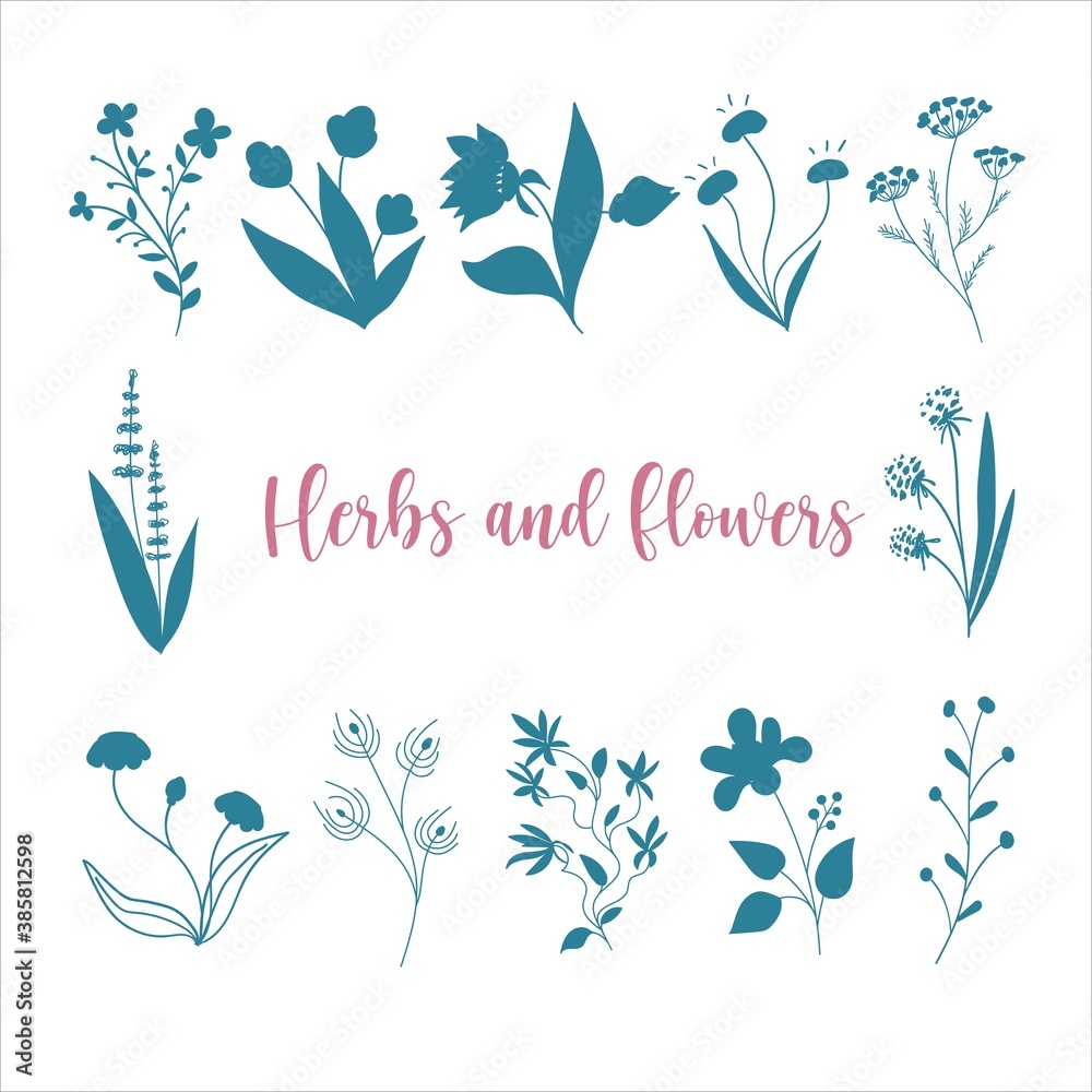 Set of silhouettes of herbs and flowers in doodle style, floral set of vector objects on a white background, vector illustration.