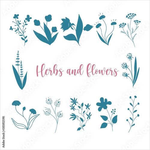 Set of silhouettes of herbs and flowers in doodle style  floral set of vector objects on a white background  vector illustration.