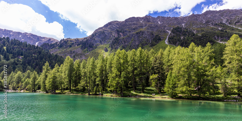 Panorama of forested shore of Lai da Palpuogna in summer
