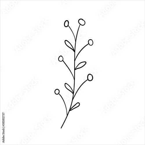 Doodles Herbs and flowers, hand-drawn flowers, floral set of wildflowers and herbs, vector objects isolated on a white background.