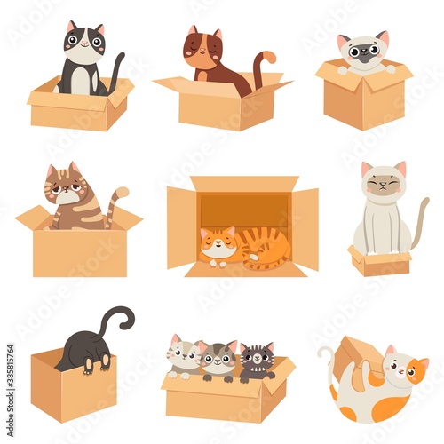 Cats in boxes. Cute stickers with cat sitting, sleeping and playing in cardboard box. Funny hiding kittens. Adopt homeless pet, vector set. Illustration animal kitten in box, feline cat pet