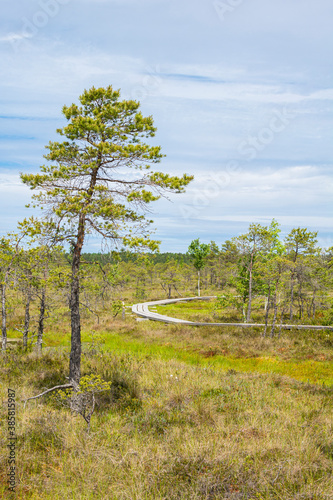 View of The Kemeri National Park, Latvia