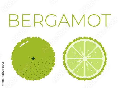 Vector of bergamot and sliced half of bergamot on white background