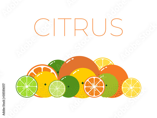 Vector Citrus Fruits pack and sliced half of Citrus on white background