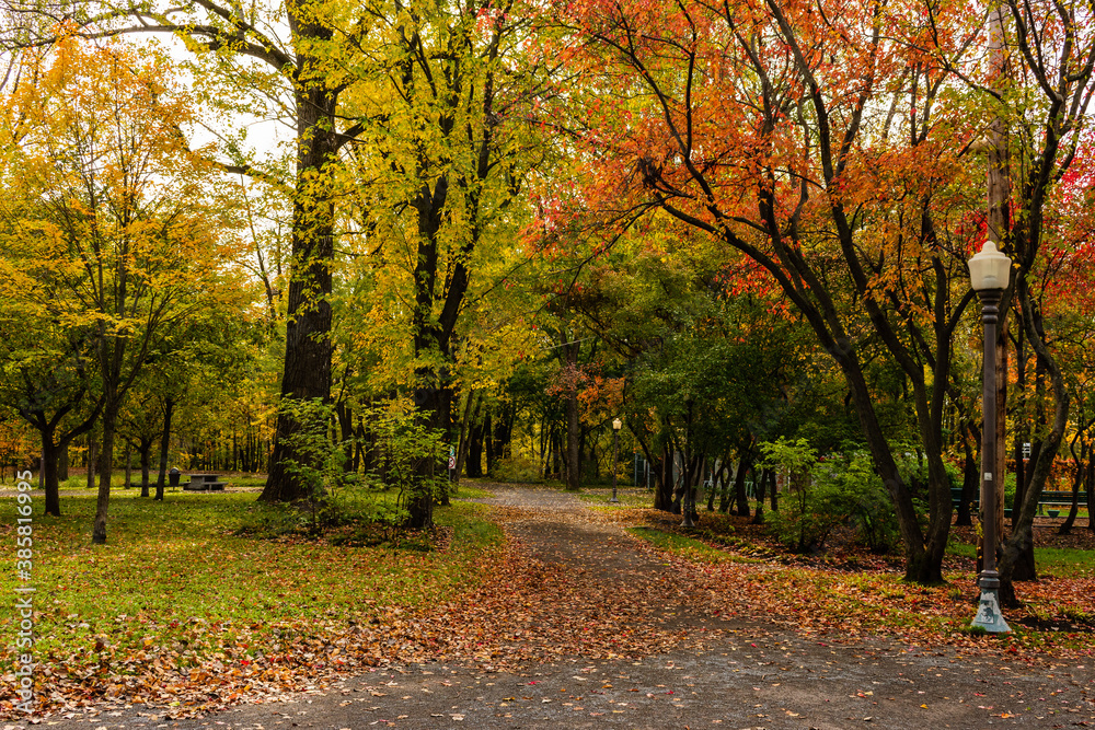 Maizerets Park in Quebec city, mid autumn