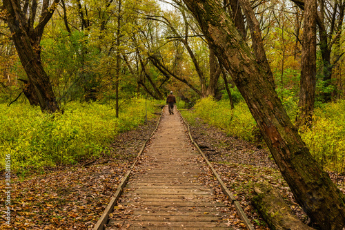 Maizerets Park in Quebec city  mid autumn