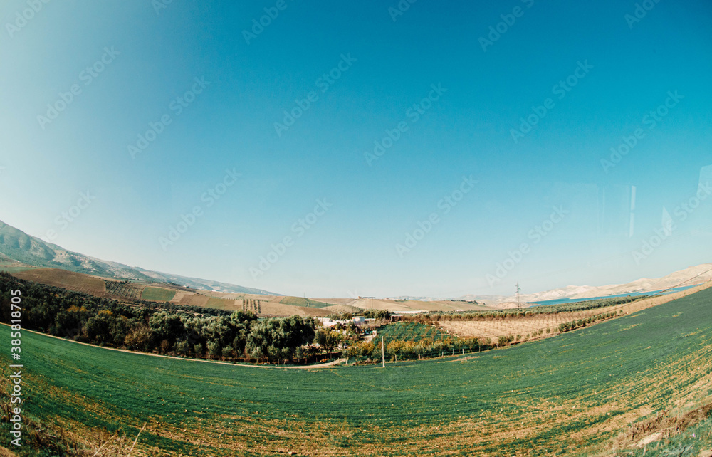 Naklejka premium vineyard in autumn