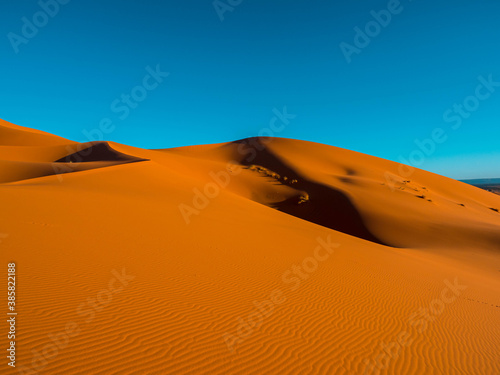 sand dunes in the desert © Dmitrii