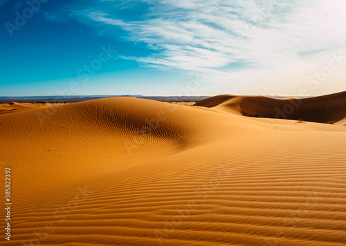 sand dunes in the desert