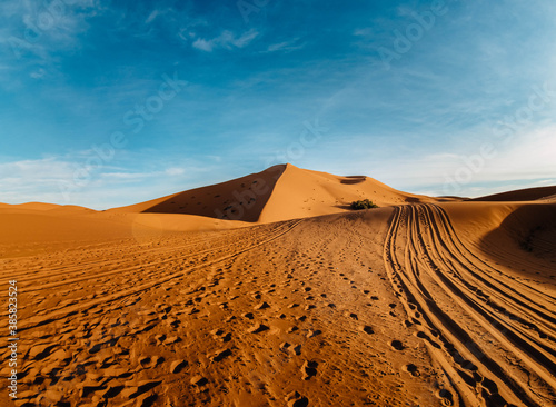 sand dunes in the desert