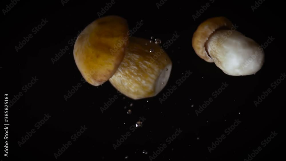 Two boletus edulis of different sizes, large and small, fall together into the water and rise up to form bubbles mushrooms with white legs and yellow caps on a black background illuminated from below Two boletus edulis of different sizes, large and small, fall together into the water and rise up to form bubbles mushrooms with white legs and yellow caps on a black background illuminated from below