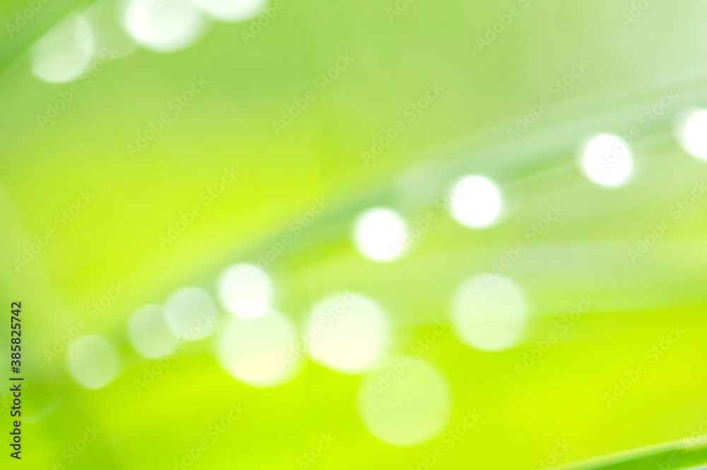 Obraz premium 葉っぱについた水滴