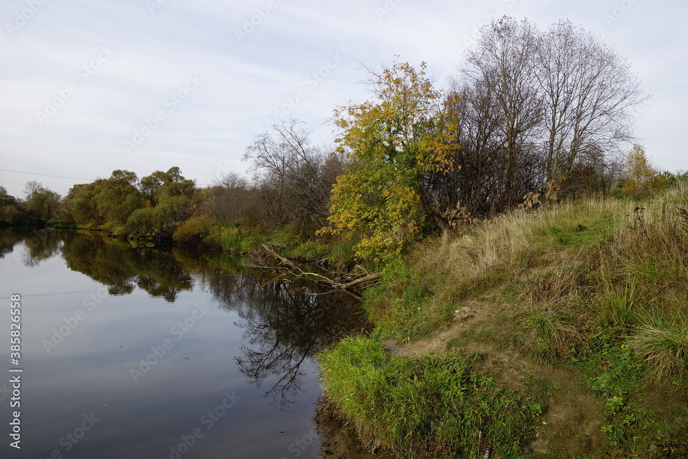 River landscape in autumn on an overcast day