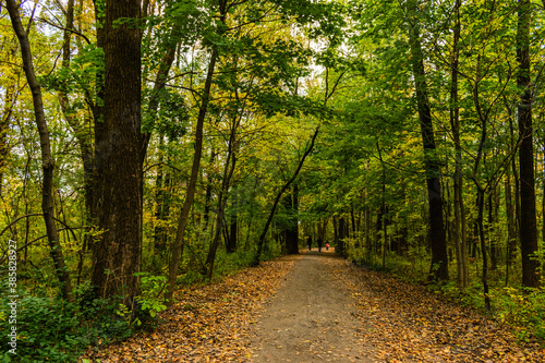 Maizerets park in Quebec city, mid autumn