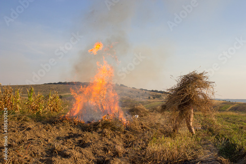 woman burns dry grass,in autumn a woman throws dry grass on the fire