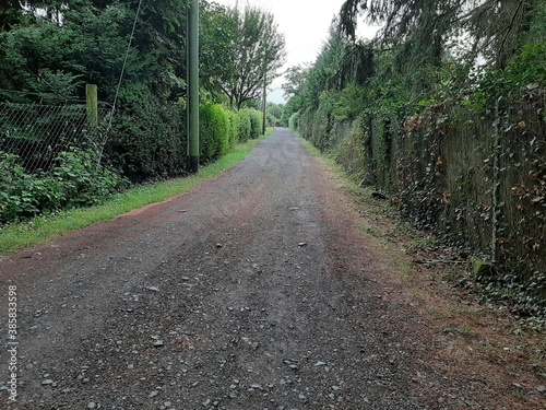 
decorative stone pavement road in the park