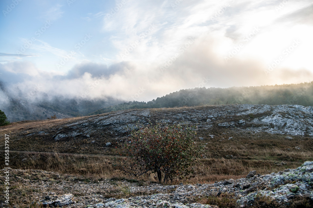 sunrise in the mountains with morning fog from early autumn sunrise in the mountains with morning fog from early autumn