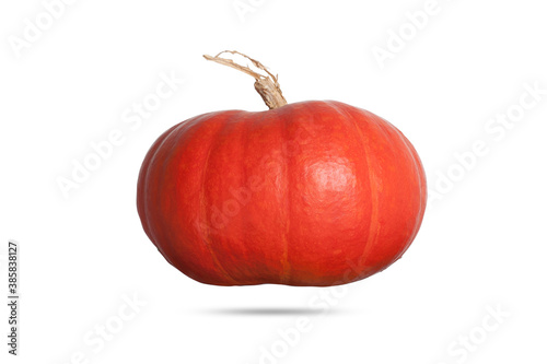 red pumpkin isolated on white background side view