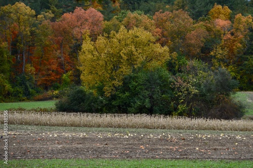 New England farm fields during foliage season