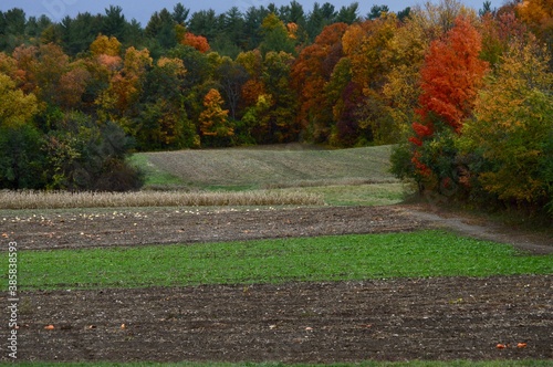 New England farm fields during foliage season