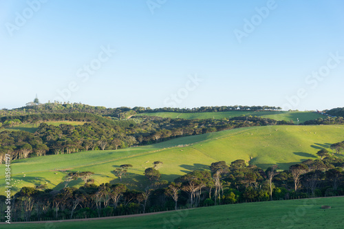 Waiheke rural landscape in early morning light.
