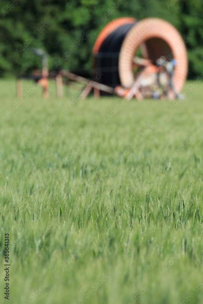 Fototapeta premium culture