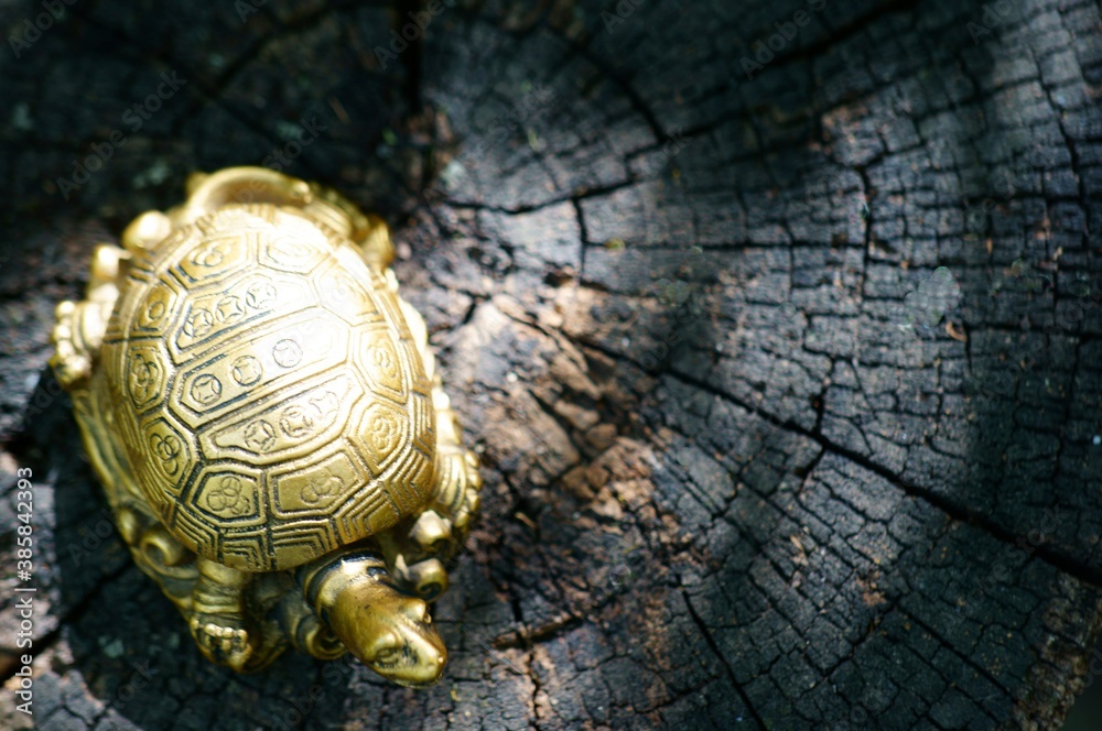 Metal Feng Shui turtle on a wooden surface. Symbol of wisdom.