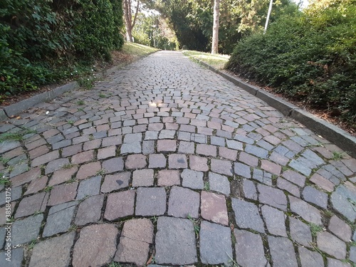 decorative stone pavement road in the park