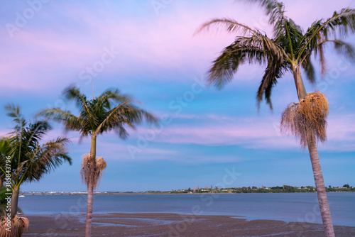 Beautiful sunset colors  and tropical palm trees silhouetted over beach.